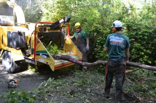 tree services Waveland